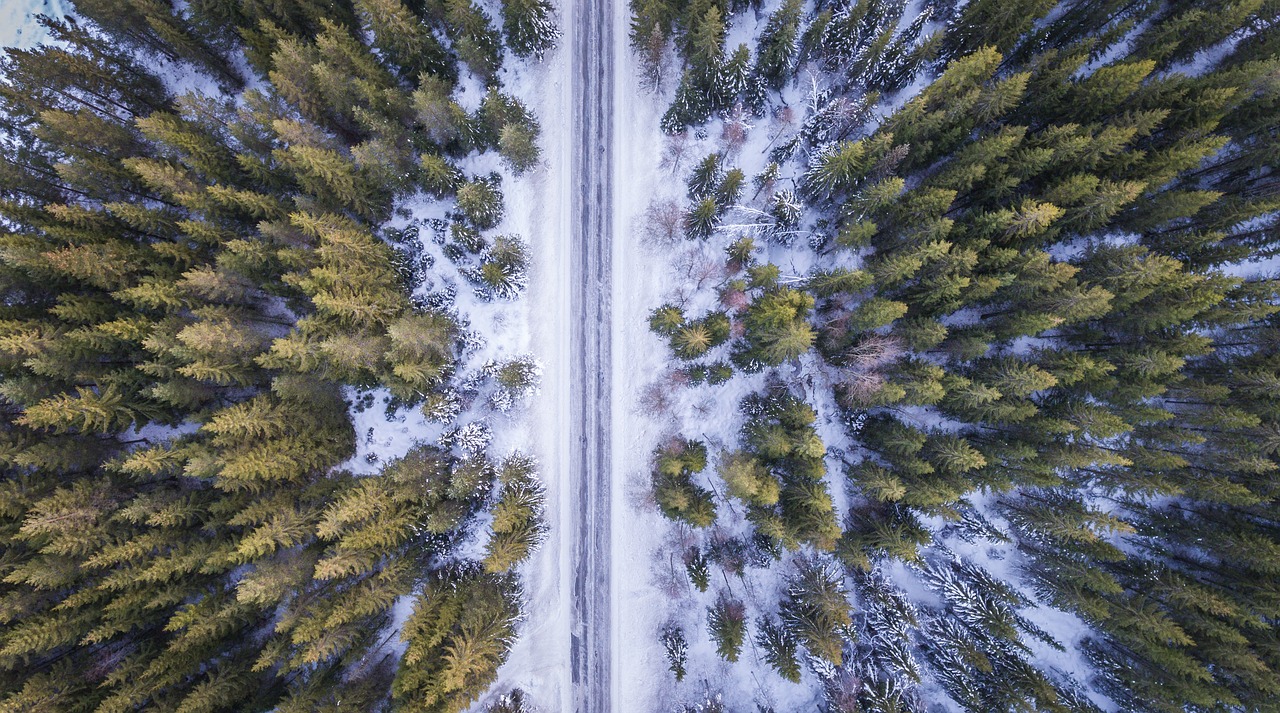 Luftaufnahme Straße durch Winterwald