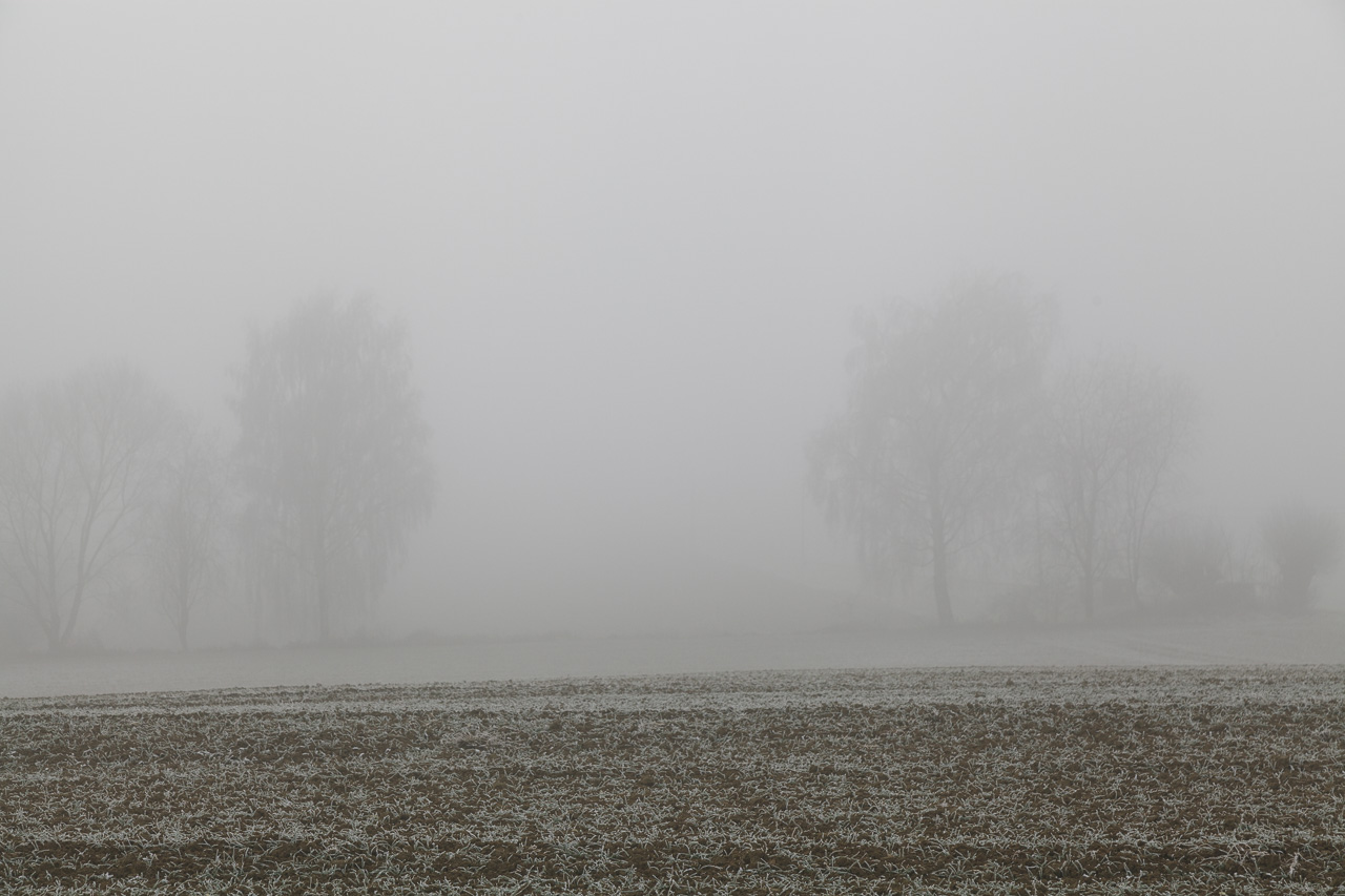 Fotografieren in Niederbayern im Nebel