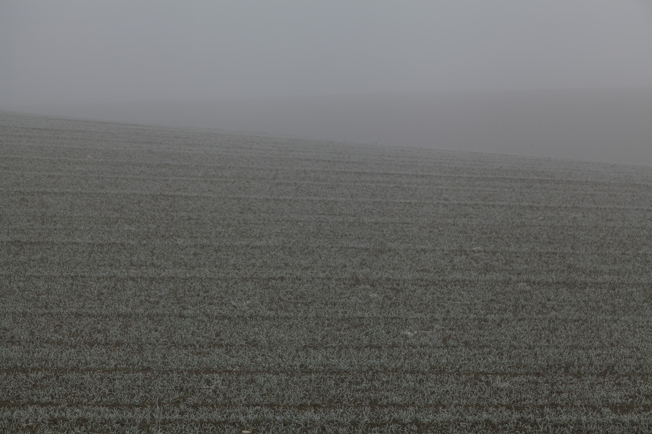 Fotografieren in Niederbayern im Nebel