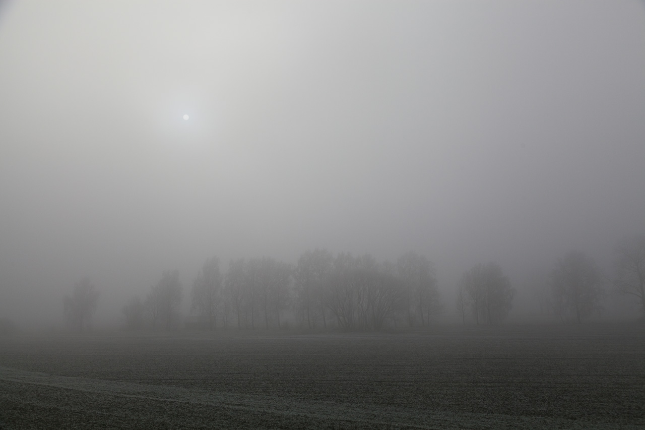 Fotografieren in Niederbayern im Nebel