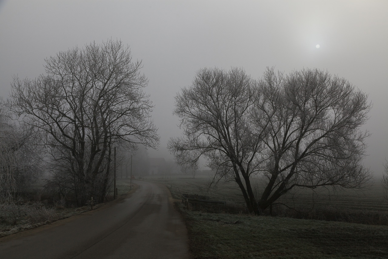 Fotografieren in Niederbayern im Nebel
