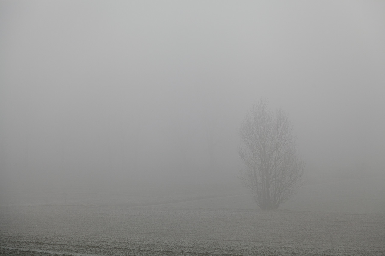 Fotografieren in Niederbayern im Nebel