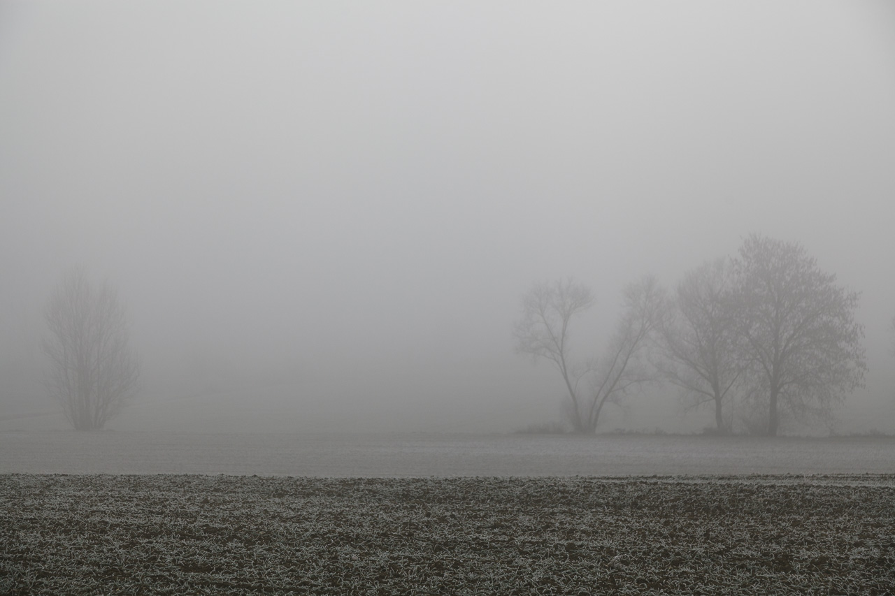 Fotografieren in Niederbayern im Nebel