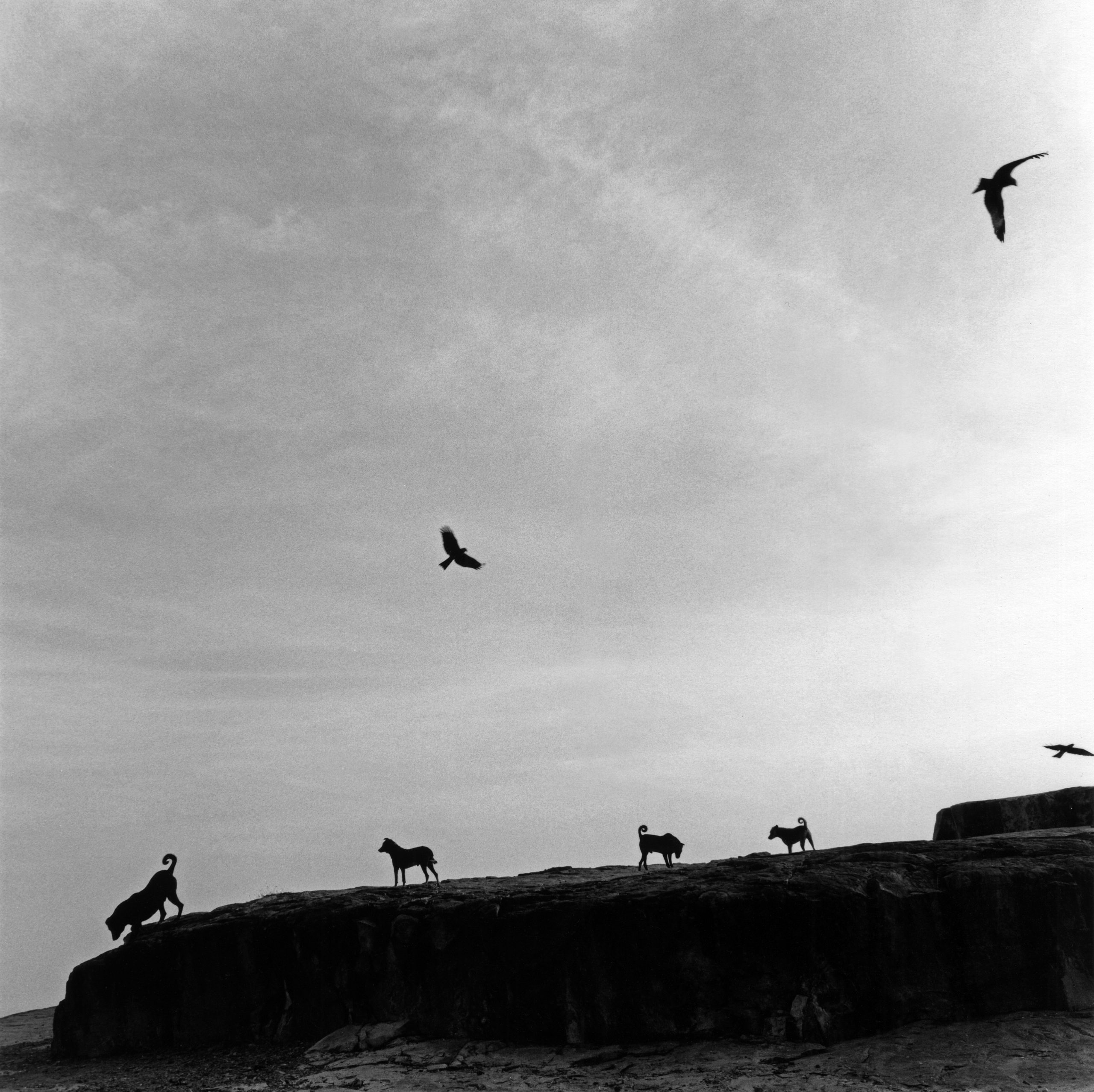 Copyright: © Graciela Iturbide, Mexico, 2021 Sony World Photography Awards