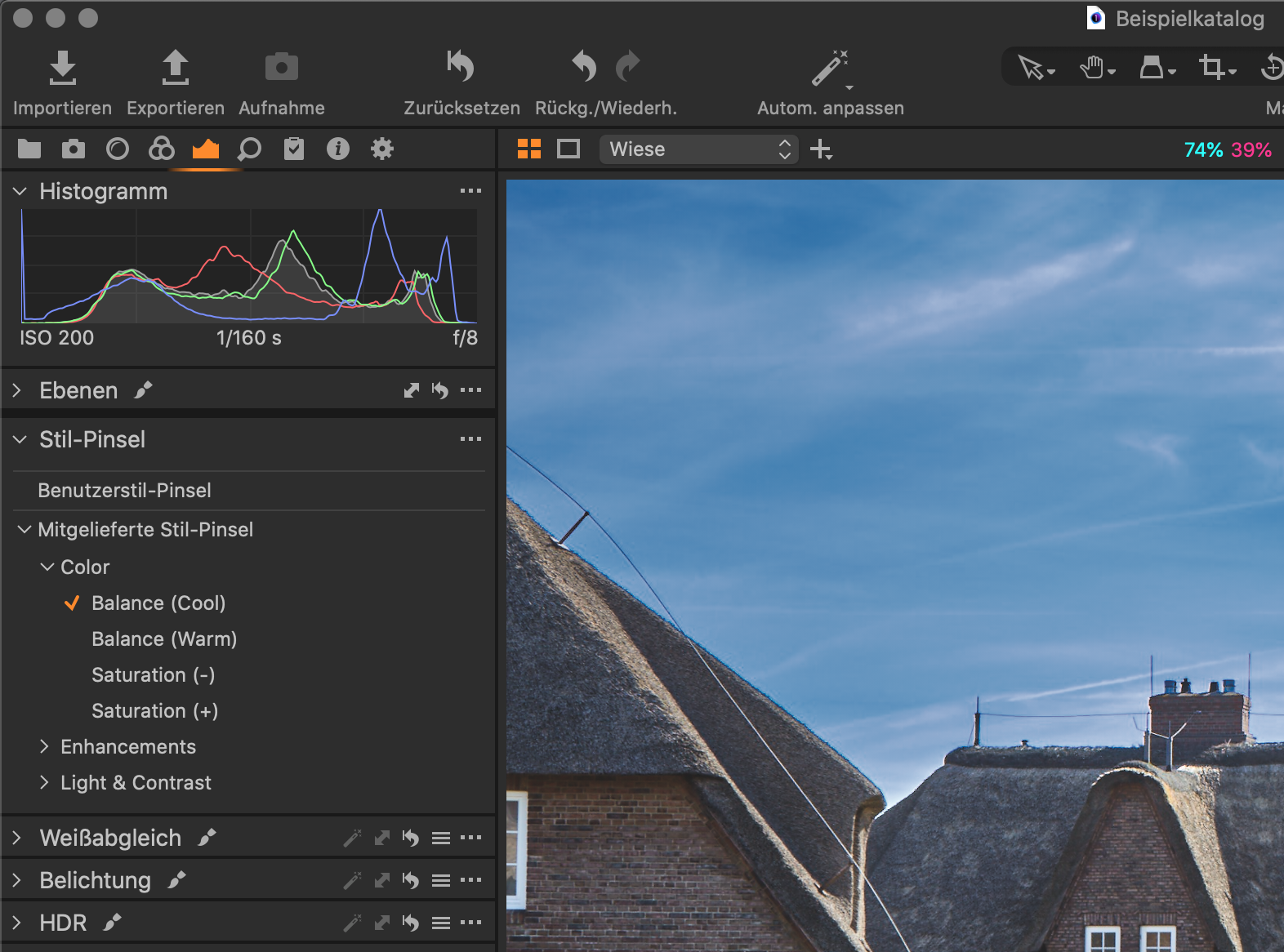 Stilpinsel von Capture One 21 Version 14.1.0