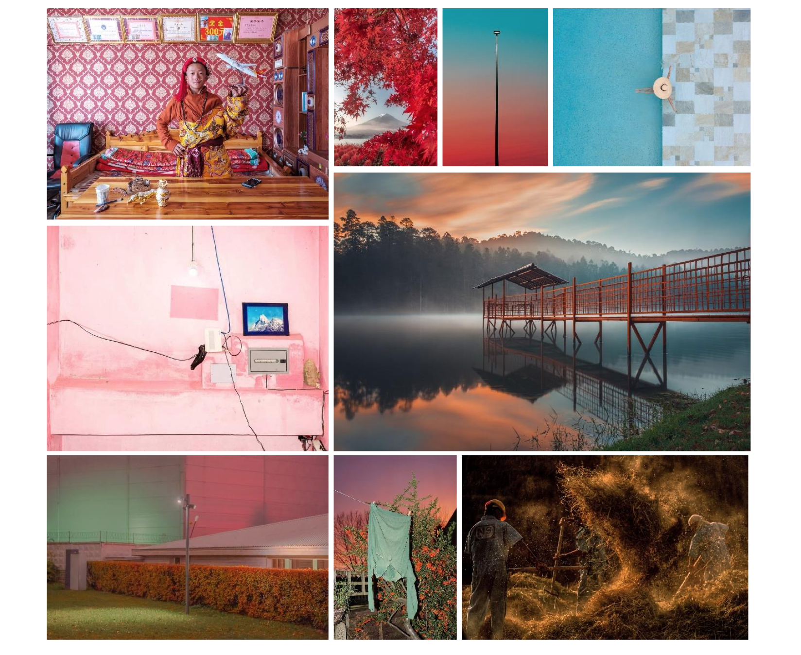 Bildercollage Sony World Photography Awards 2021