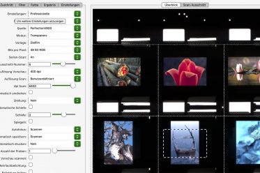 Ausschnitt Screenshot Scanprogramm VueScan